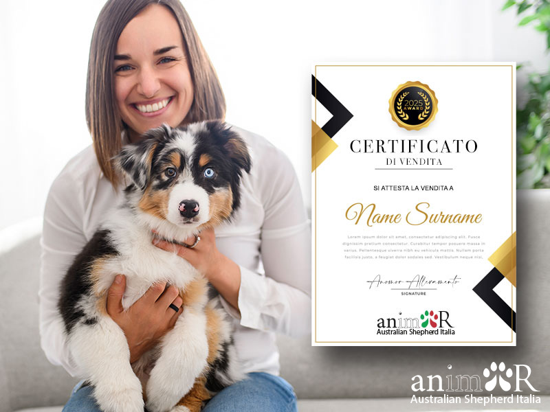 certificato di vendita